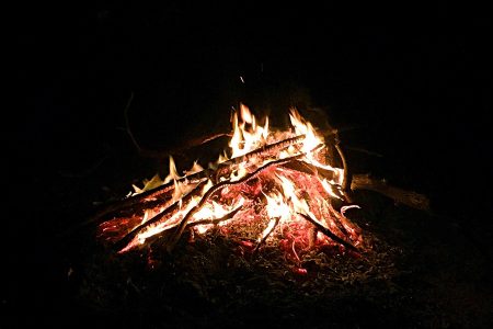 12-4　オーストラリアの田舎で暮らせば